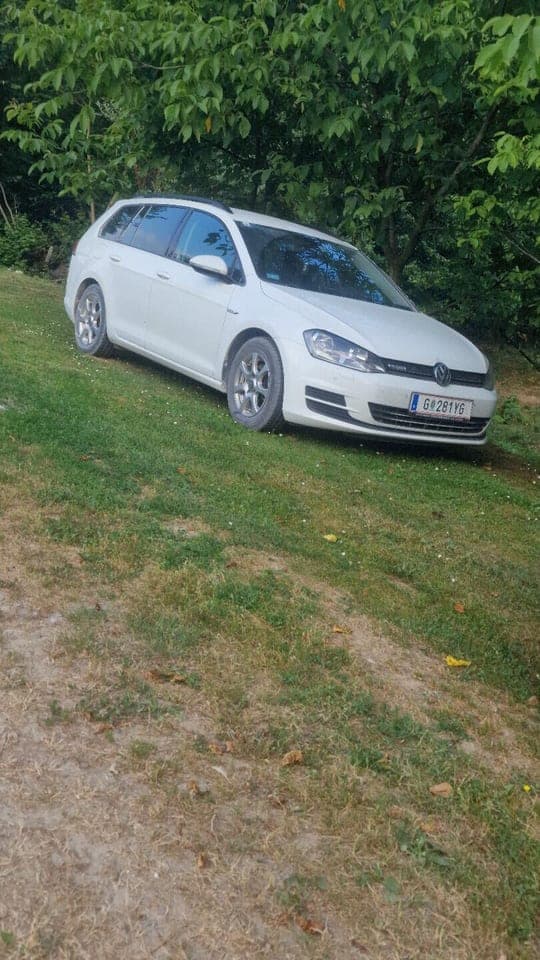 Volkswagen E-Golf 2014 Derventa 1