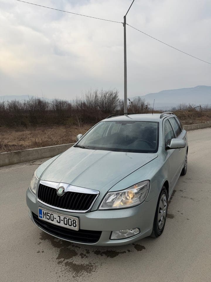 Skoda Octavia 2010 Vitez 1